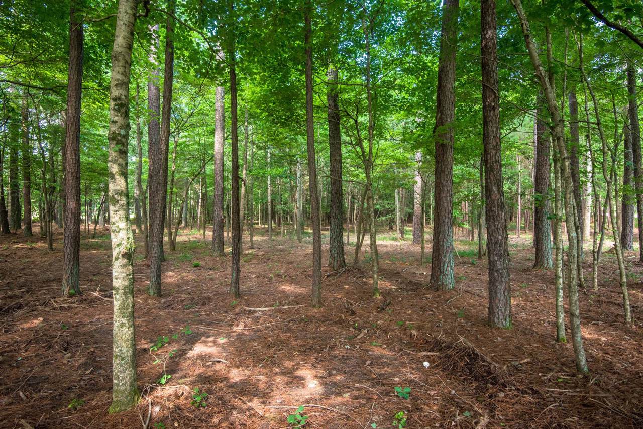 7211 Bahne Rd - Photo 1
