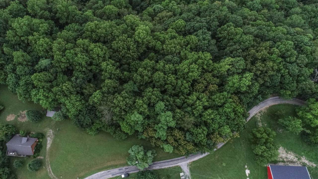 1 Lafever Ridge Rd - Photo 1