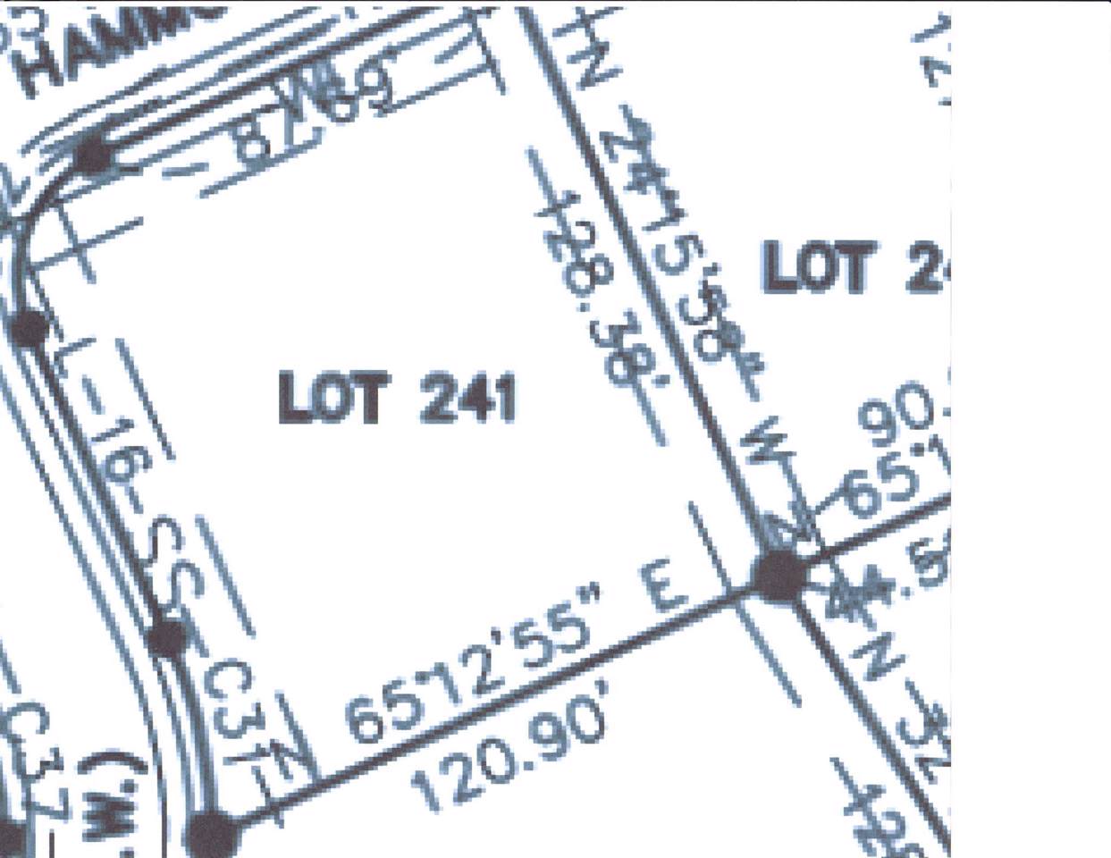 0 Hammock Rd. Lot 241 - Photo 1