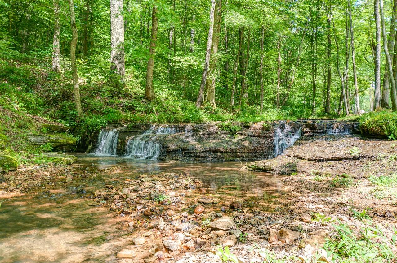 7248 Cavender Branch Rd - Photo 1