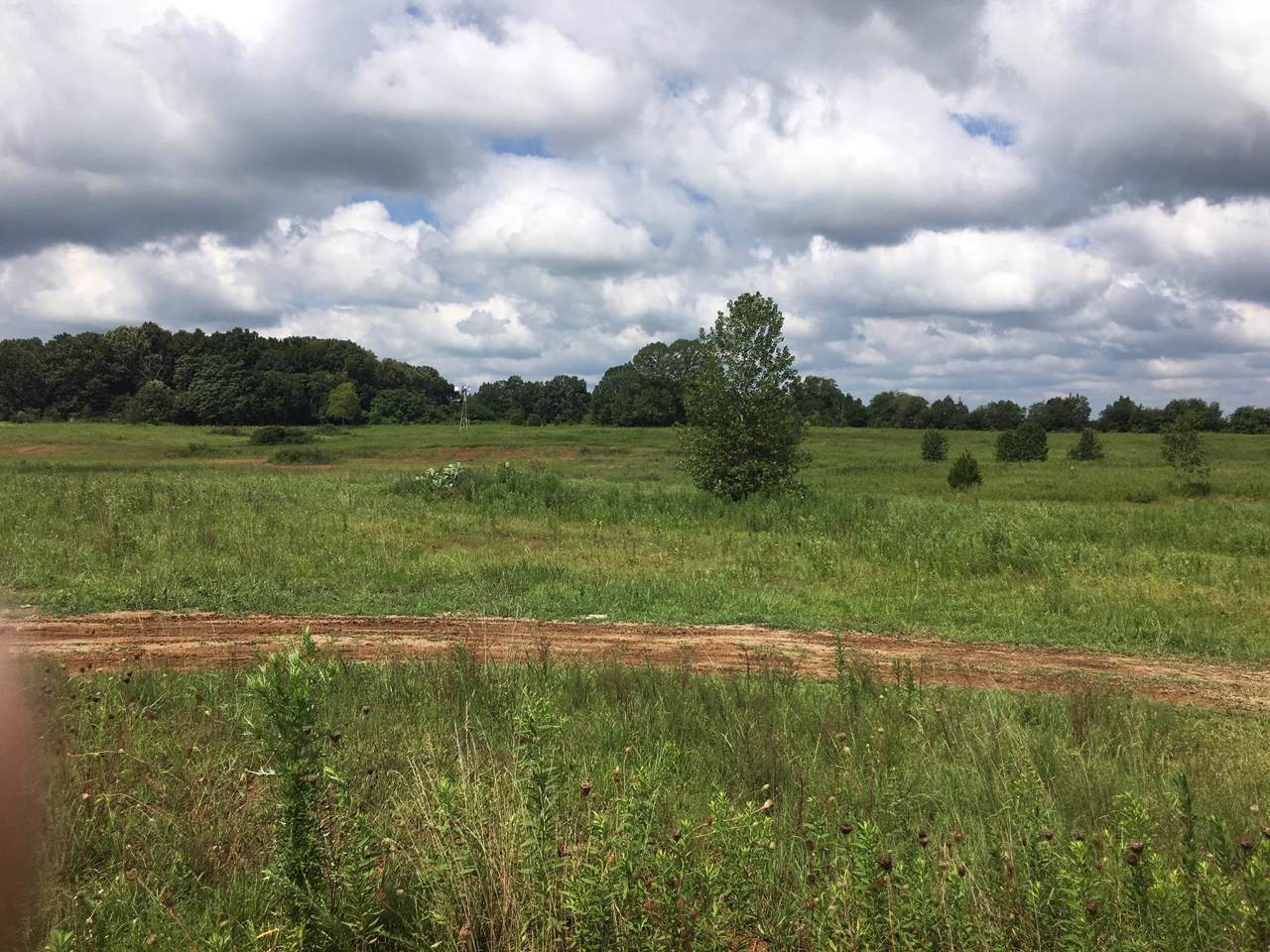 4802 Wildberry - Photo 1