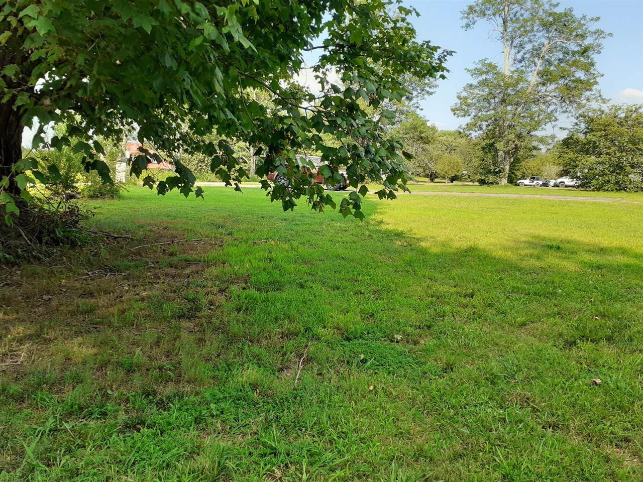 1102 Nails Creek Rd - Photo 1