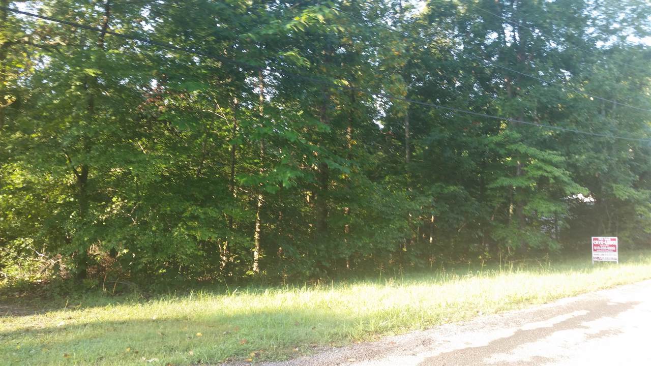 1008 Owen Ct - Photo 1