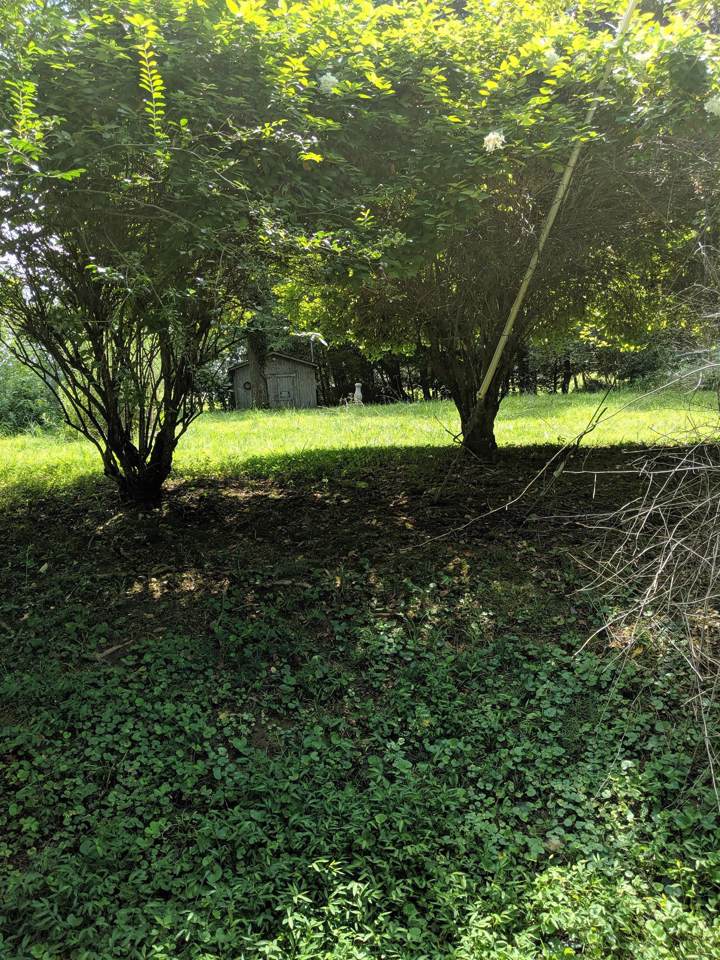 0 Hickory Cir - Photo 1