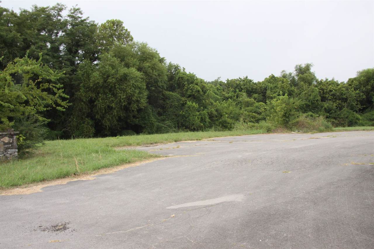 0 Lion Pkwy - Photo 1