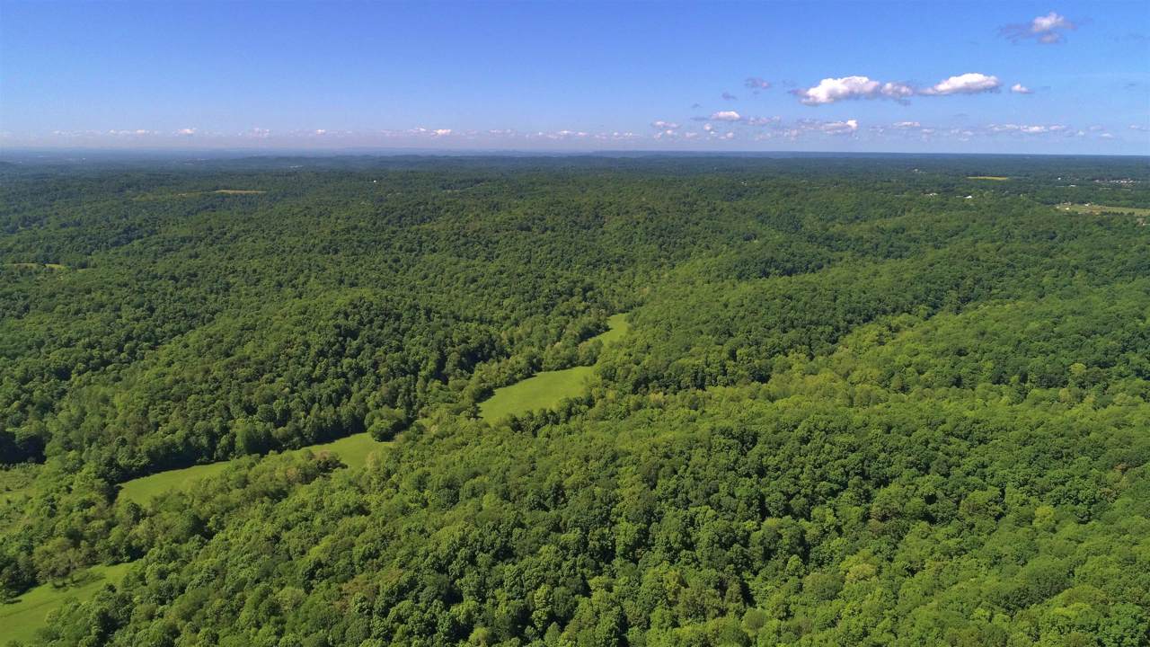 593H Pee Dee Branch Rd - Photo 1