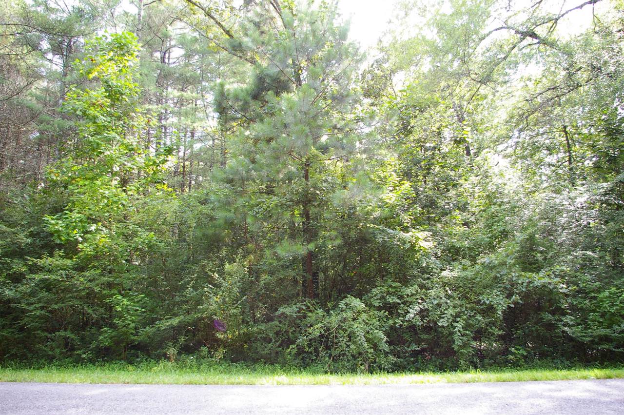 6 Harton Blvd - Photo 1