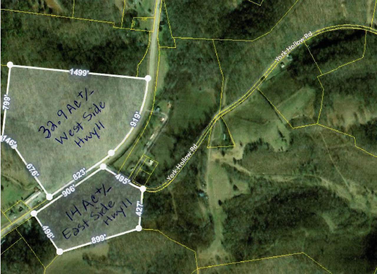 0 Minor Hill Hwy - Photo 1