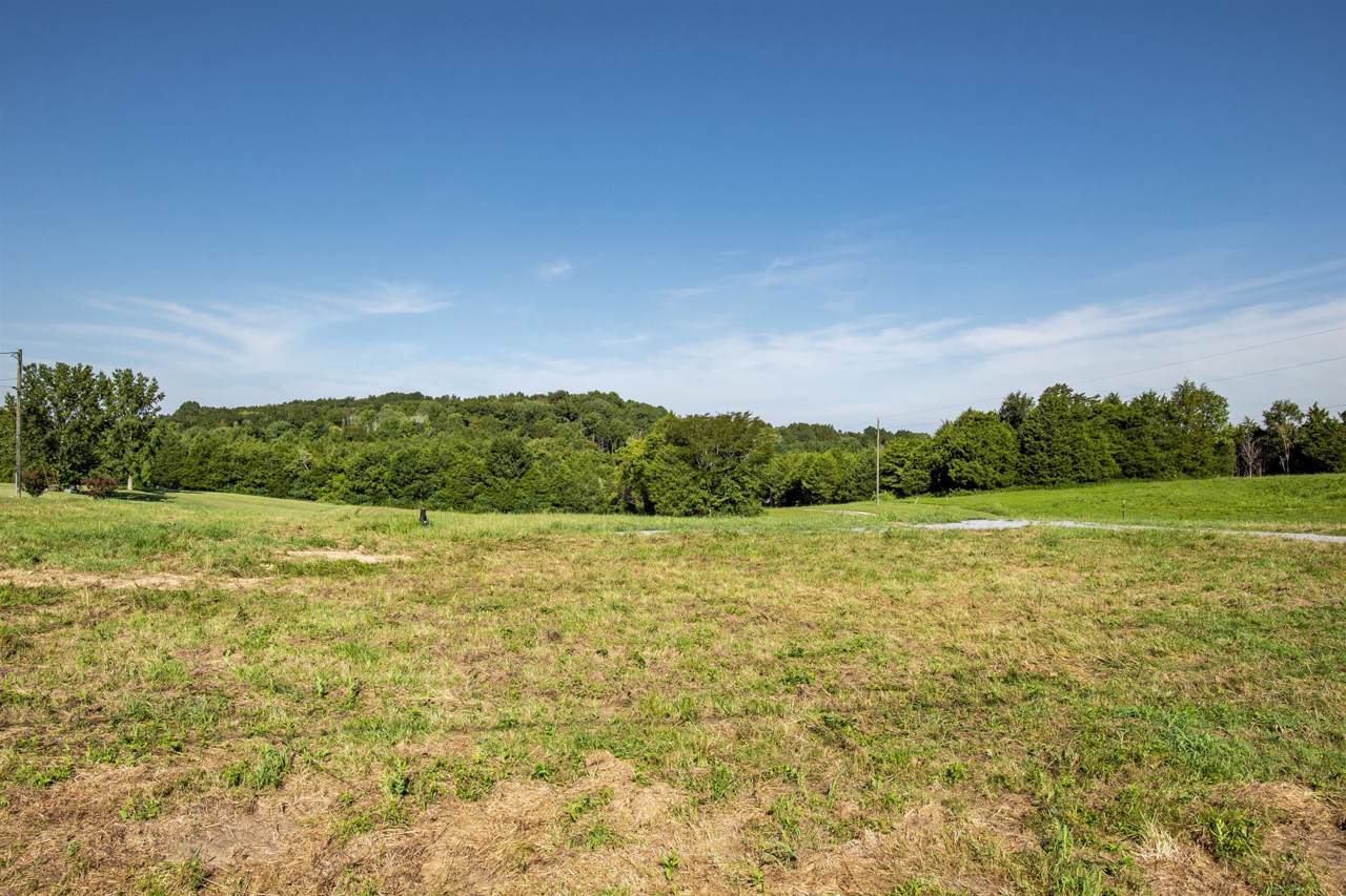 1125 Benders Ferry Rd - Photo 1