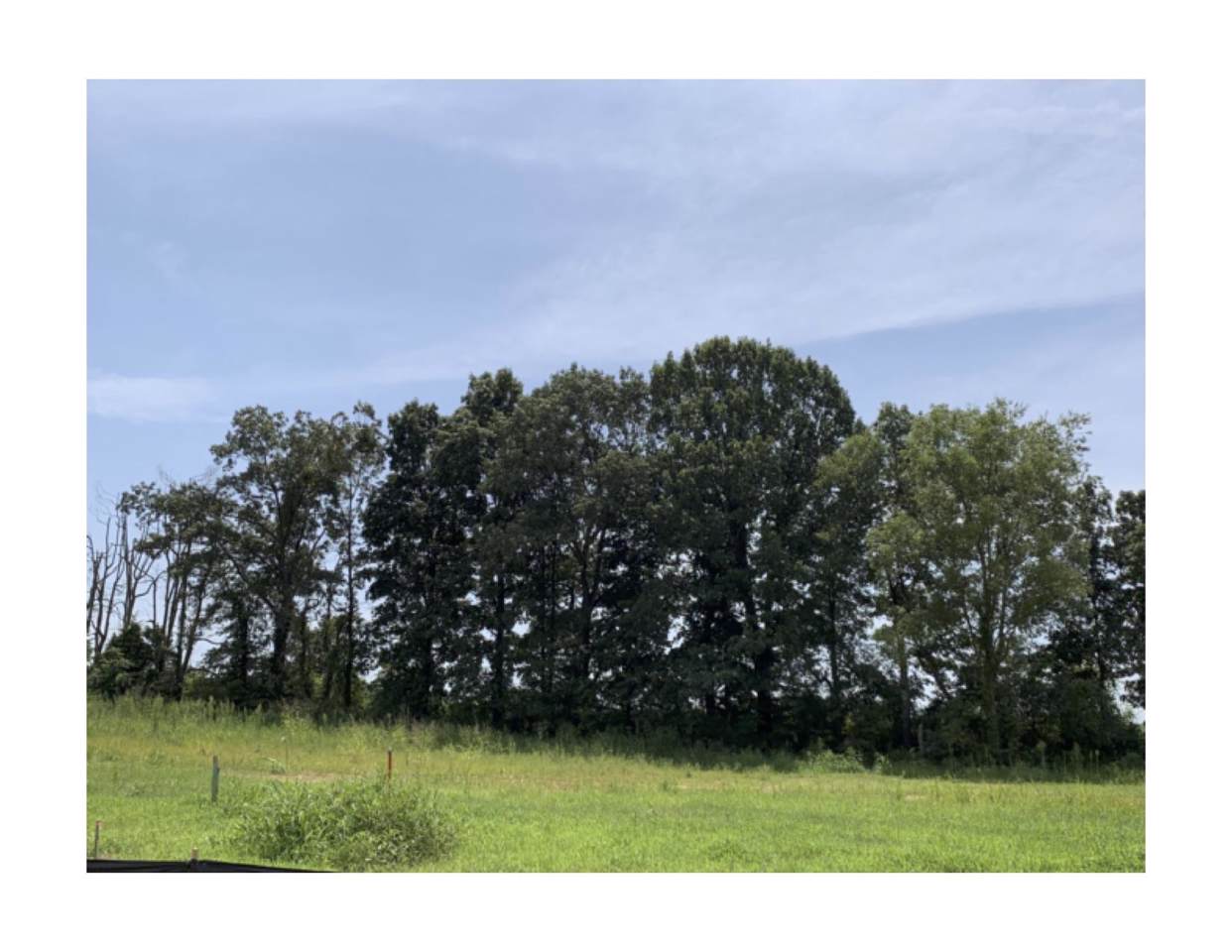 28 Reserve At Hickory Wild - Photo 1