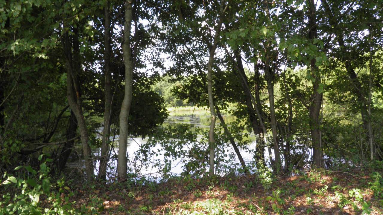 0 Ferrells Loop Rd - Photo 1