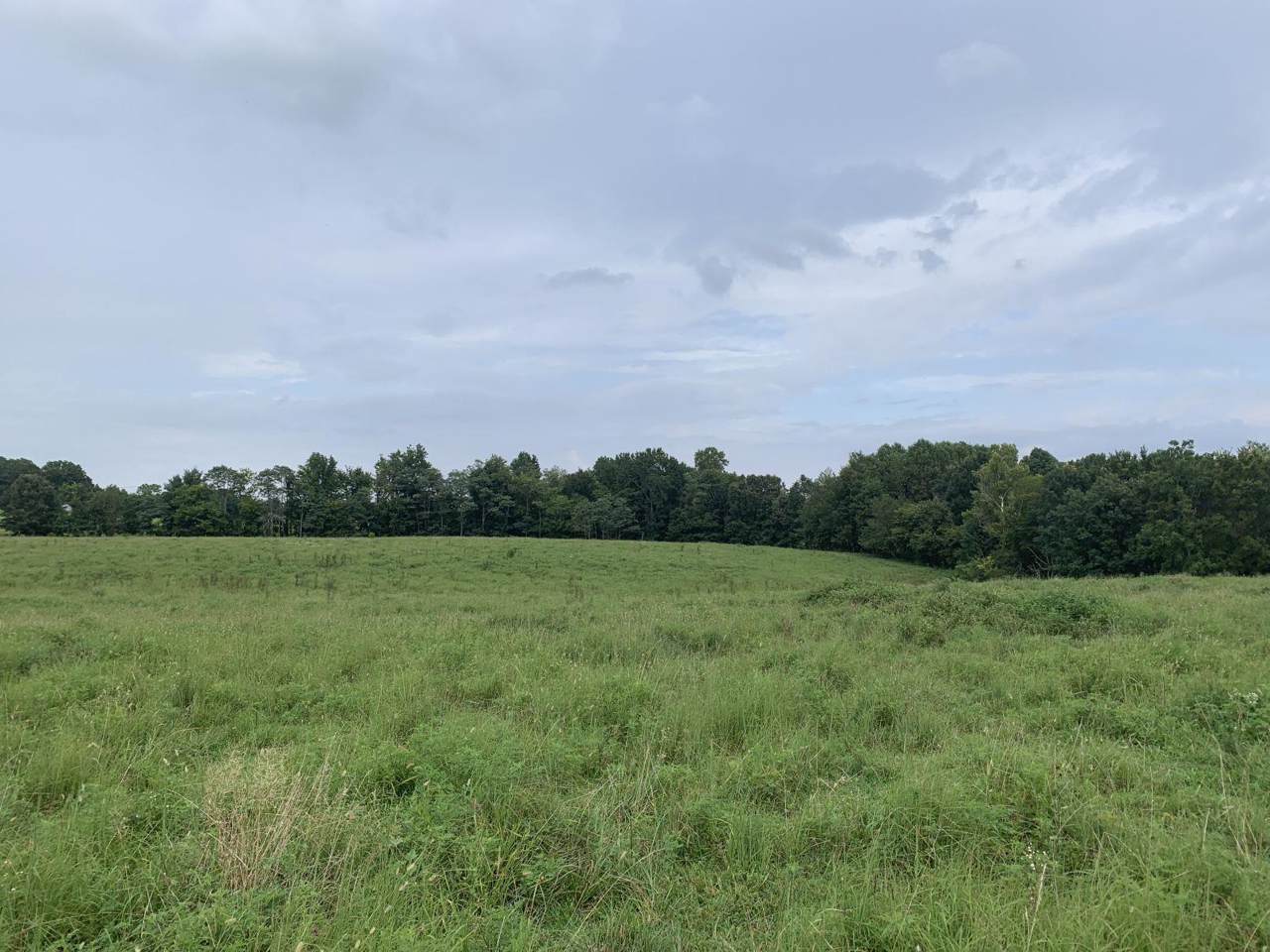 7440 Deer Ridge - Photo 1