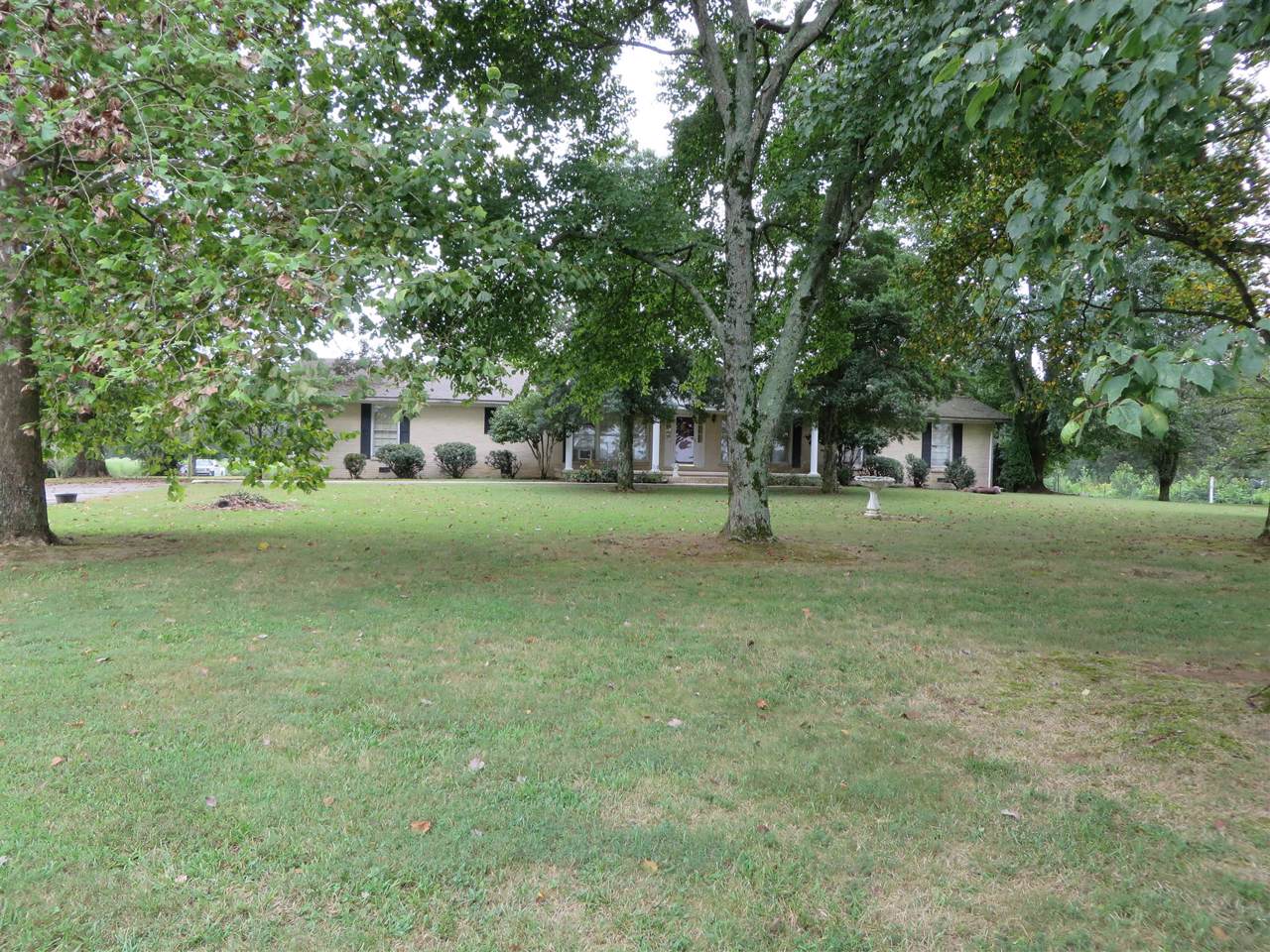 176 Terry Dunavan Rd - Photo 1 176 Terry Dunavan Rd - Photo 1