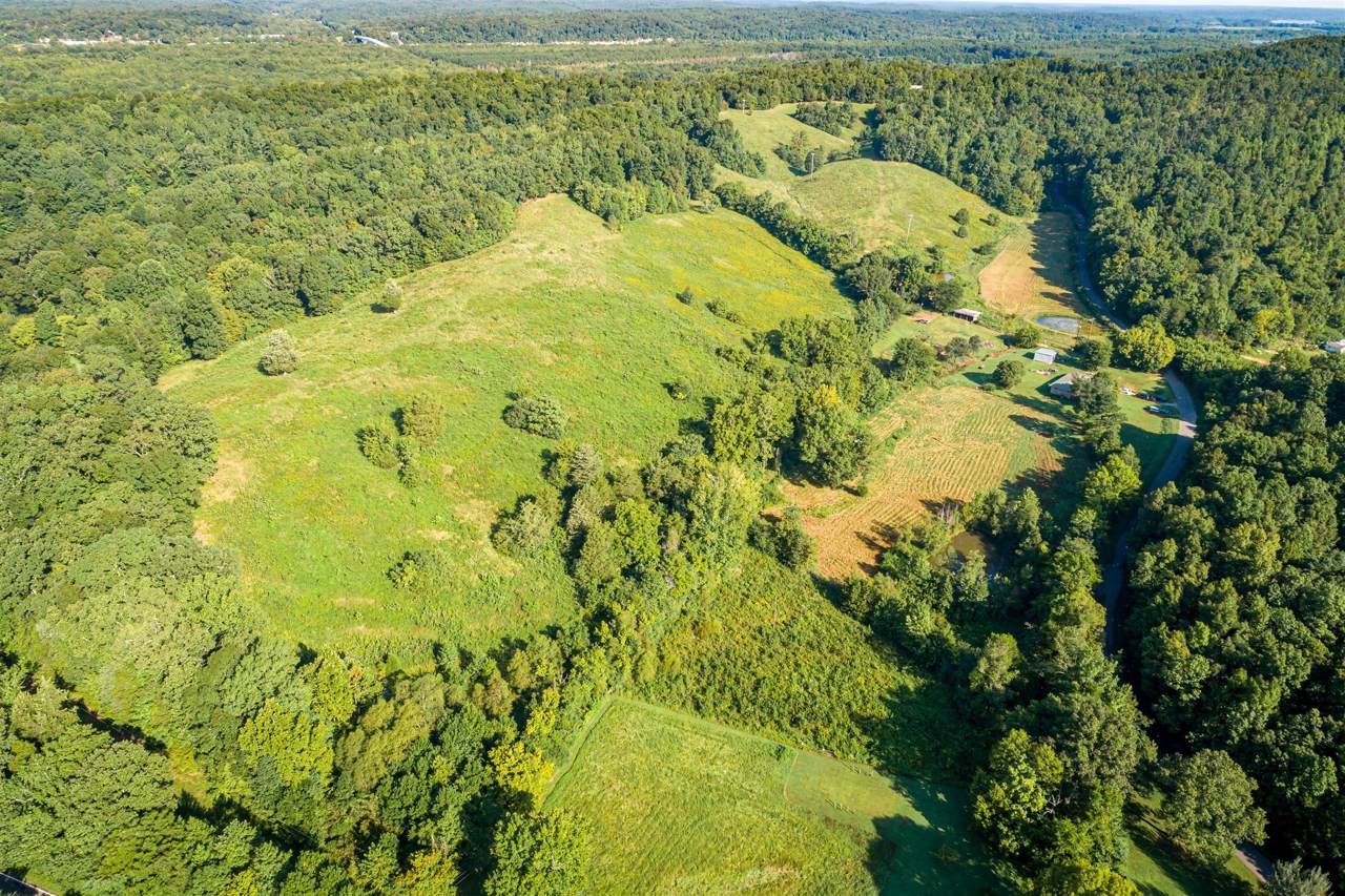 231 Beasley Hollow Rd - Photo 1