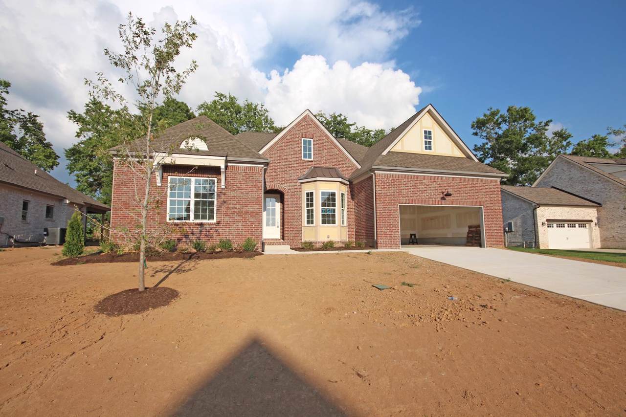 706 Rain Meadow Ct, Lot 251 - Photo 1