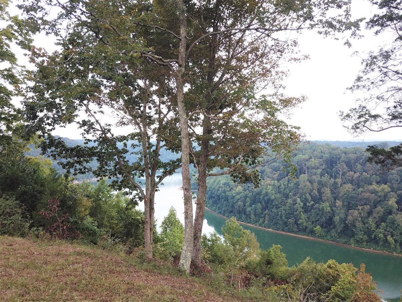 0 Cedar Creek Rd - Photo 1
