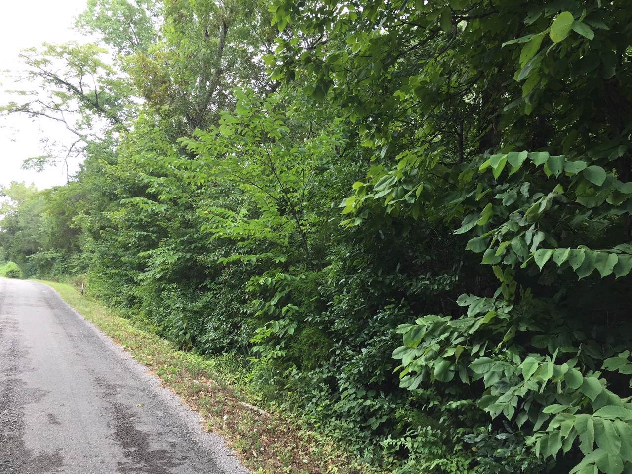 0 Rally Hill Cutoff - Photo 1