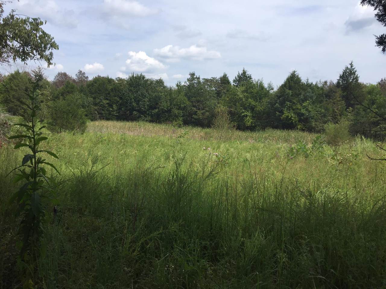 0 Ollie Chunn Road - Photo 1