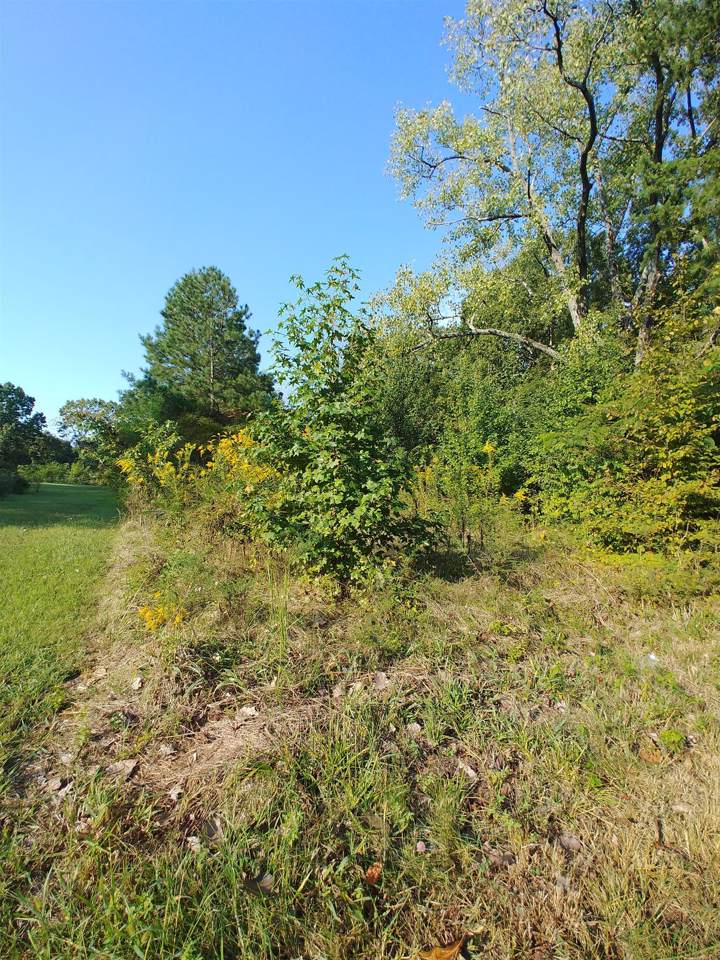 0 Kingston Springs Rd - Photo 1