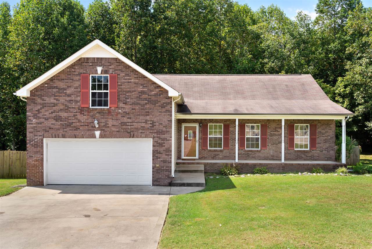 1517 Cedar Springs Cir - Photo 1