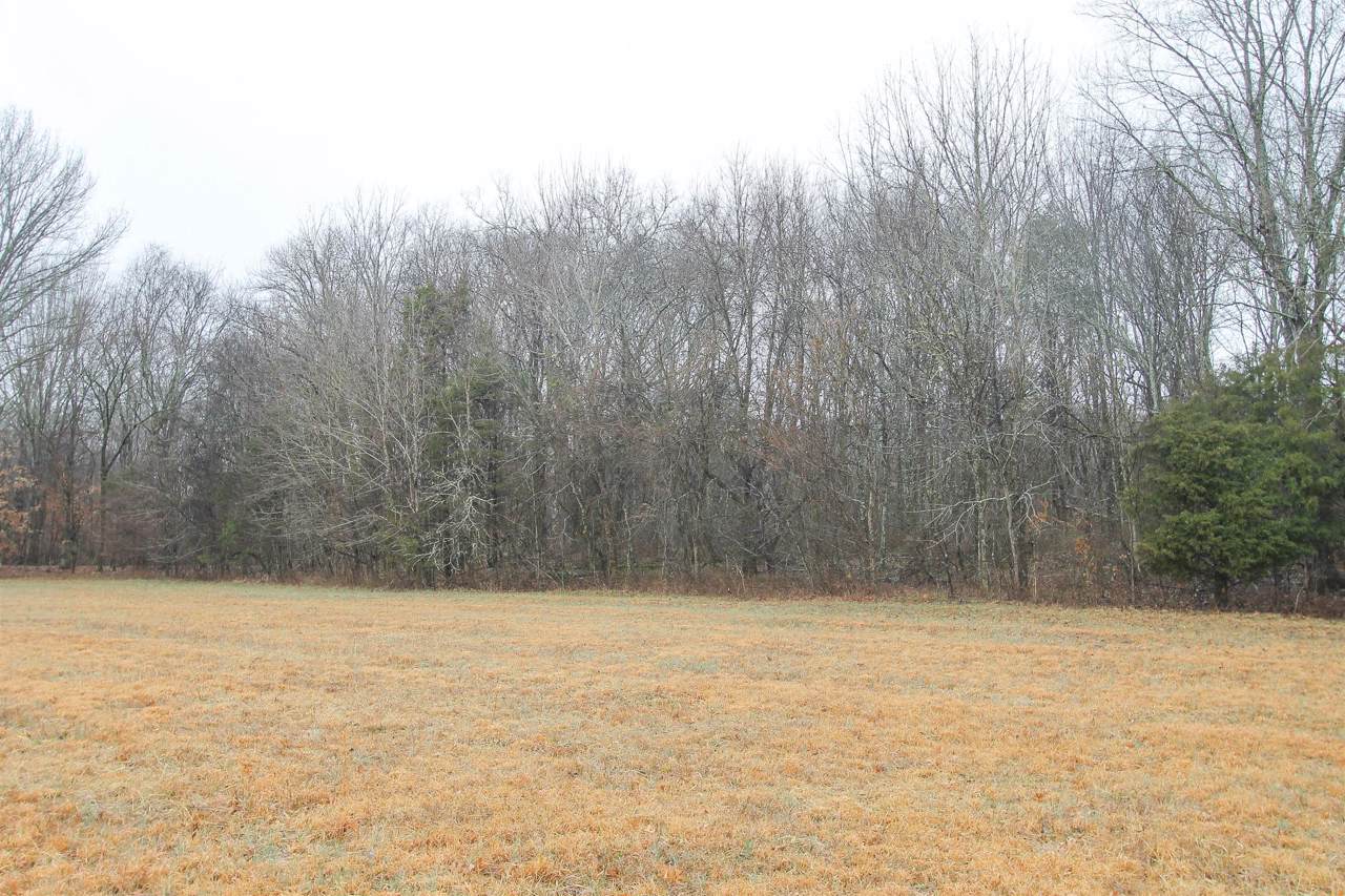 0 Hurchel Fox Rd - Photo 1