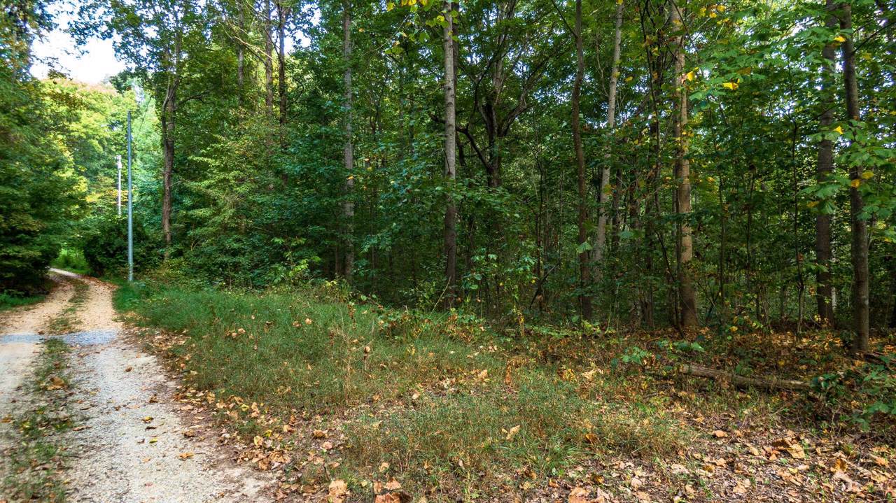 8666 Poplar Creek Rd - Photo 1
