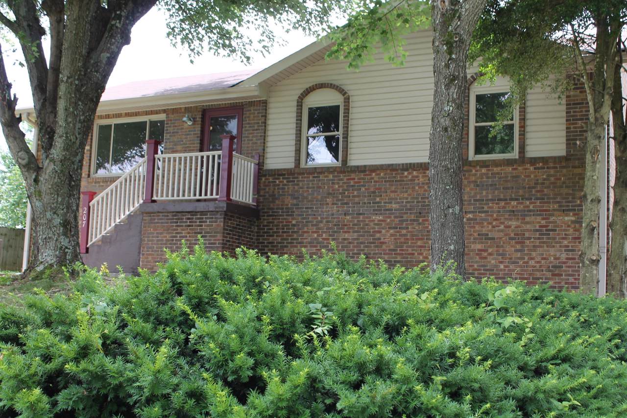 207 Hunter St - Photo 1