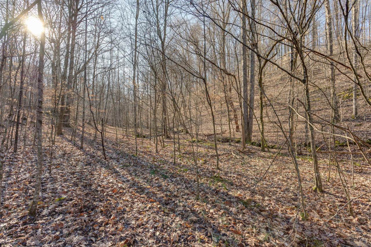 0 Blue Branch Rd - Photo 1
