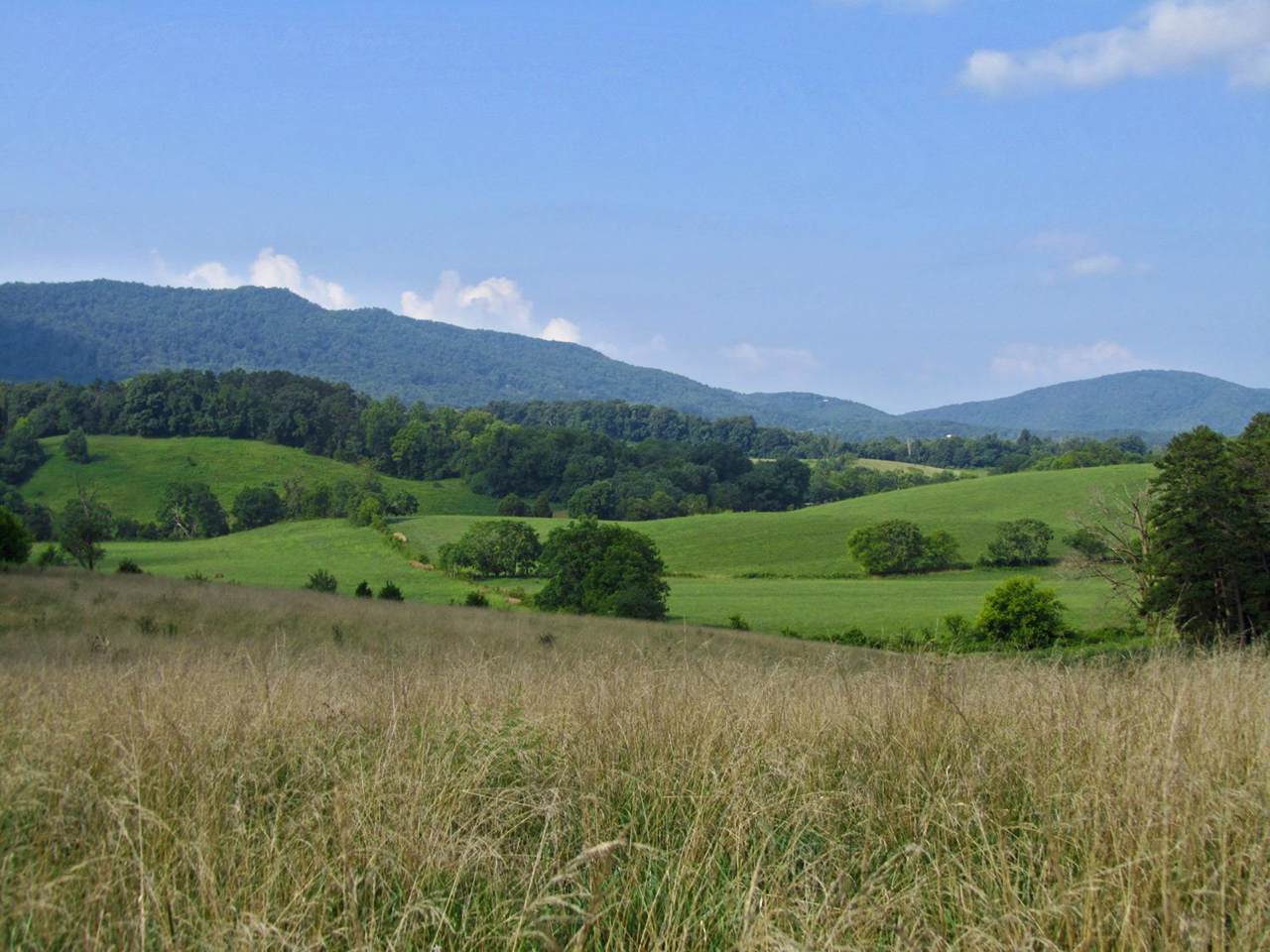 254 County Line Rd - Photo 1