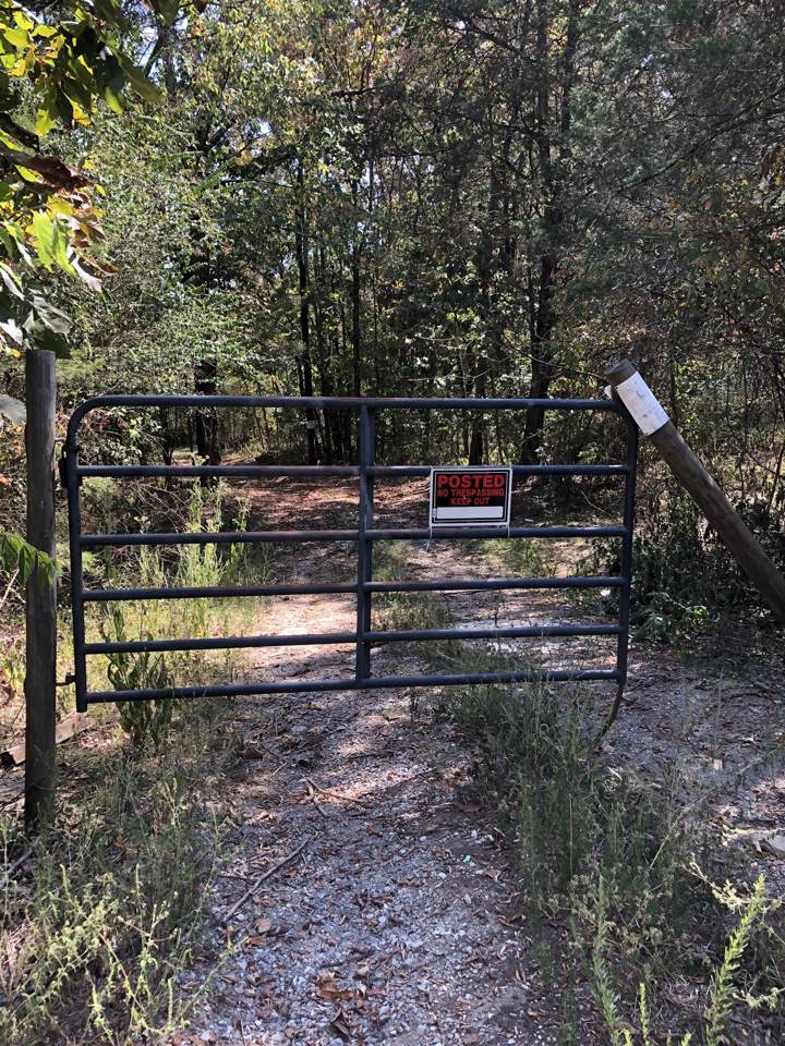 0 Taliaferro Rd - Photo 1