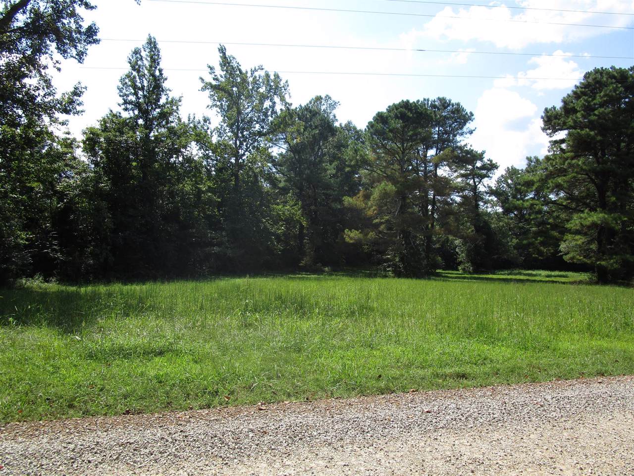 224 Old Poplar School Rd - Photo 1