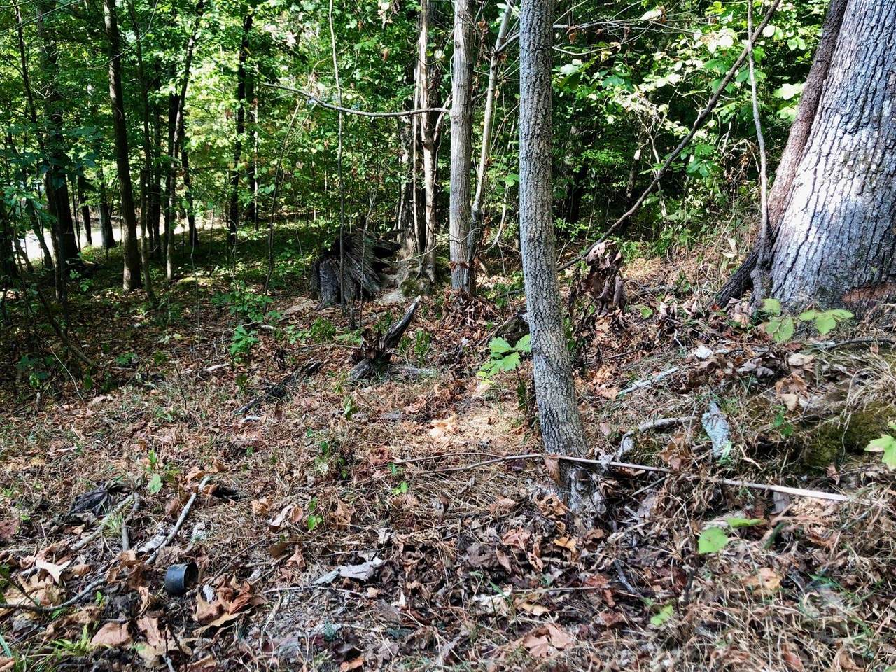 0 Kinnaird Access Rd Lot 169 - Photo 1