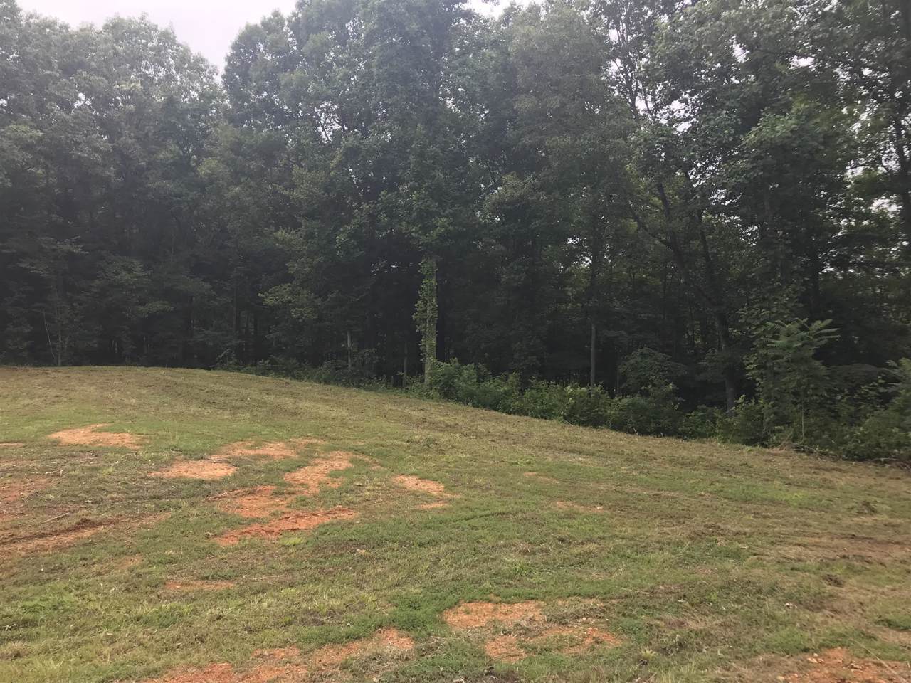 7903 Daugherty Capley Rd - Photo 1