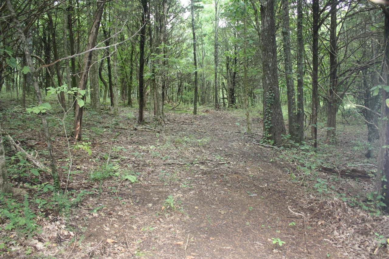 1 Arbor Pointe Way - Photo 1