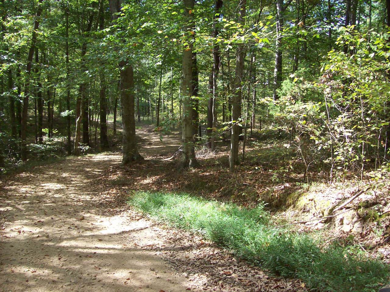 0 Primm Springs Rd - Photo 1