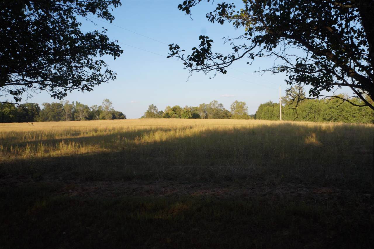 67 Shannon Rd - Photo 1