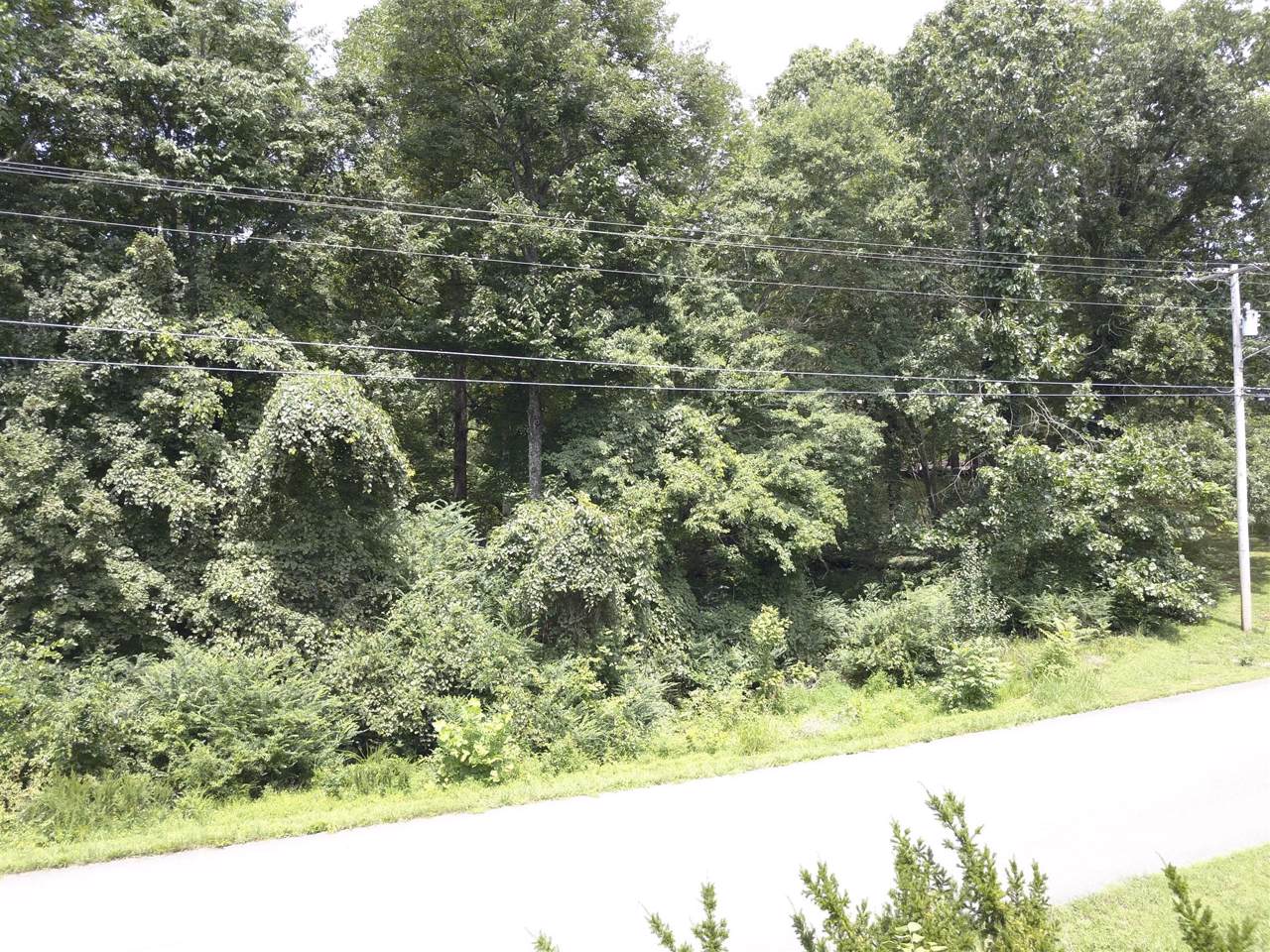 0 Hickory Hollow Dr - Photo 1