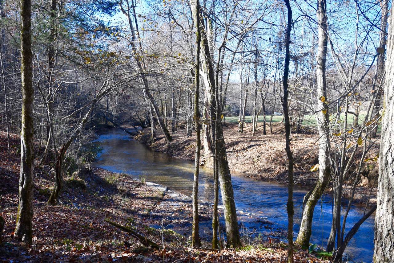 0 Cane Creek Road - Photo 1