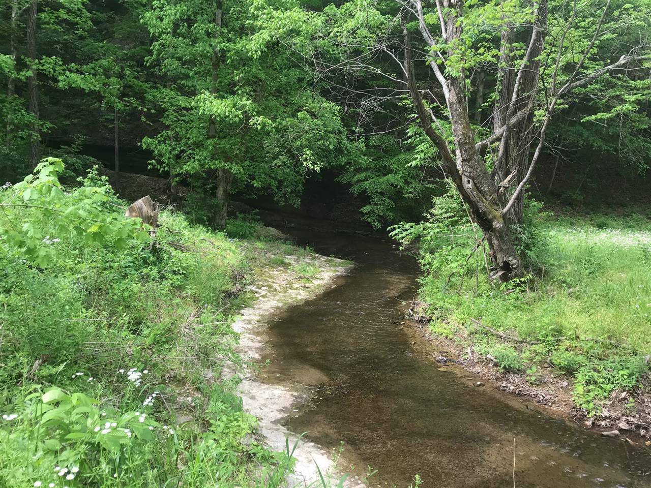 0 Old Hwy 96 (5456) - Photo 1
