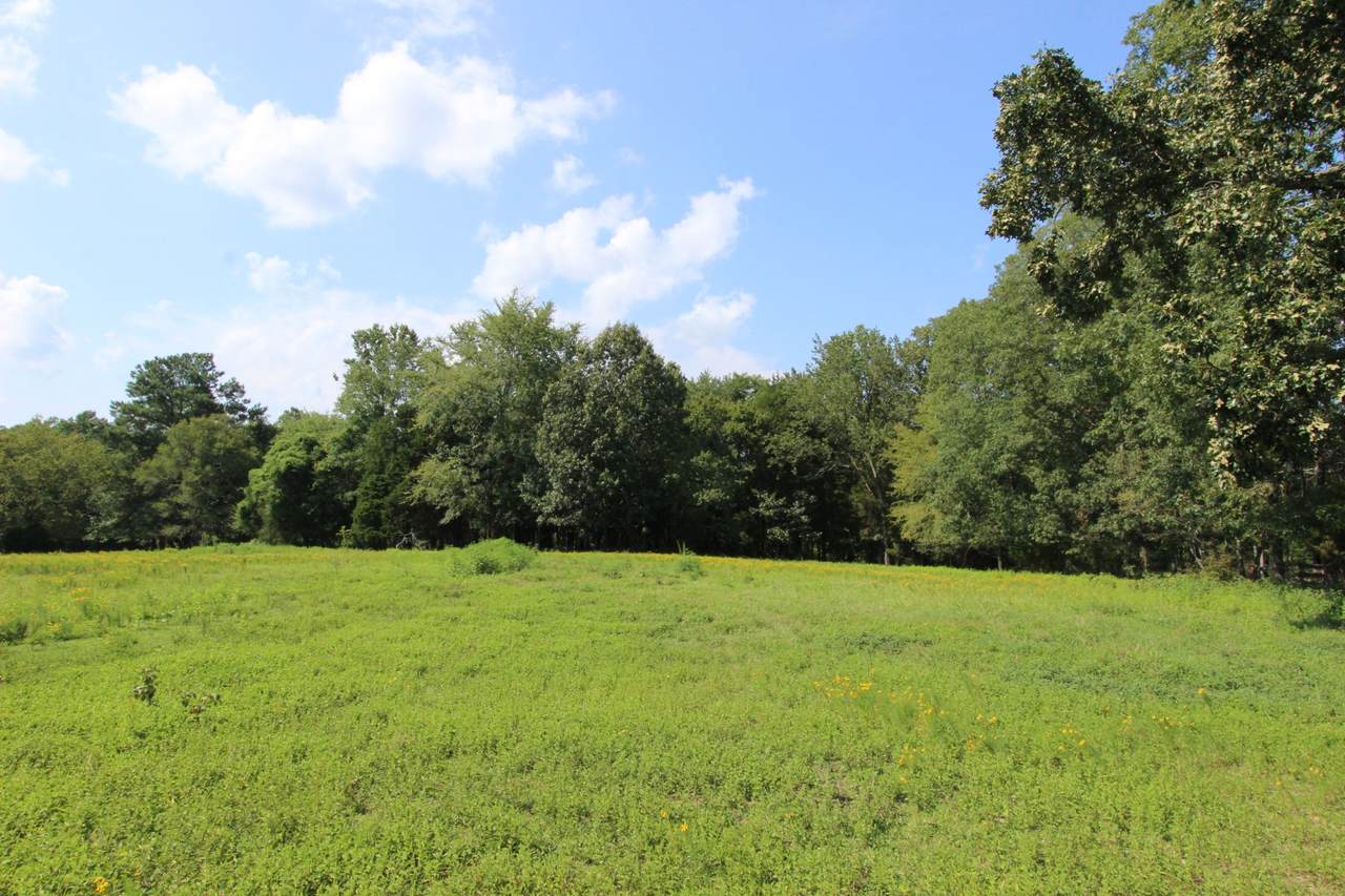 830 Cooley Ford Rd - Photo 1