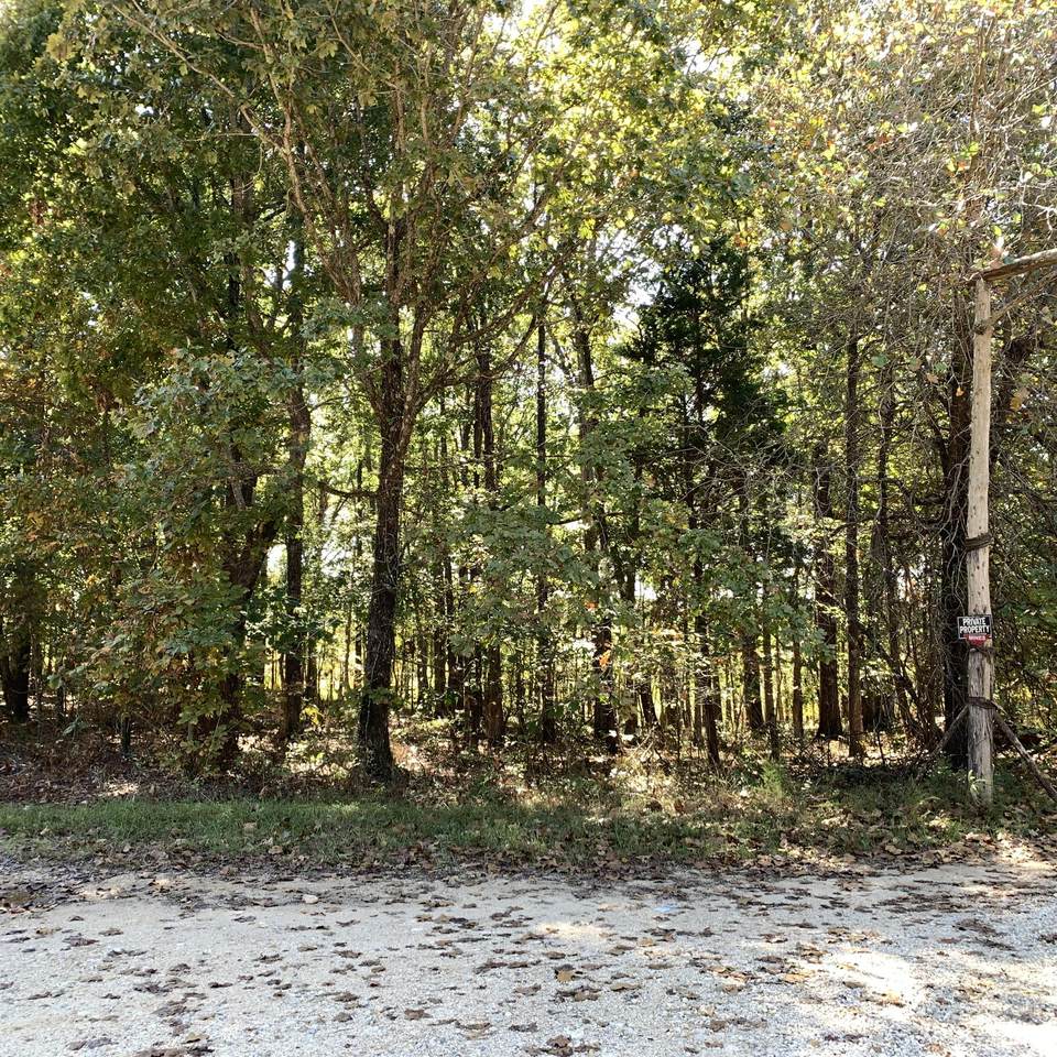 0 7 Mile Ridge Road - Photo 1