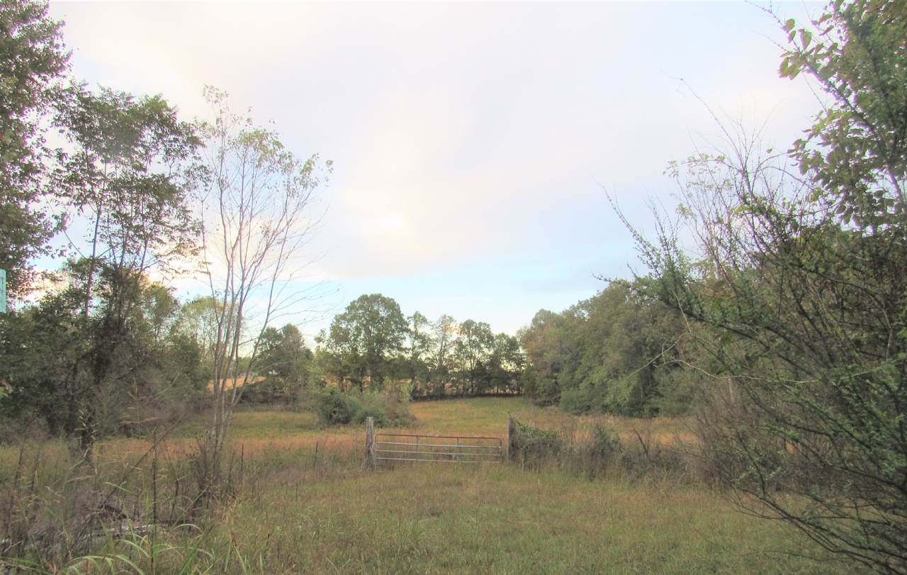 467 Patton Rd - Photo 1