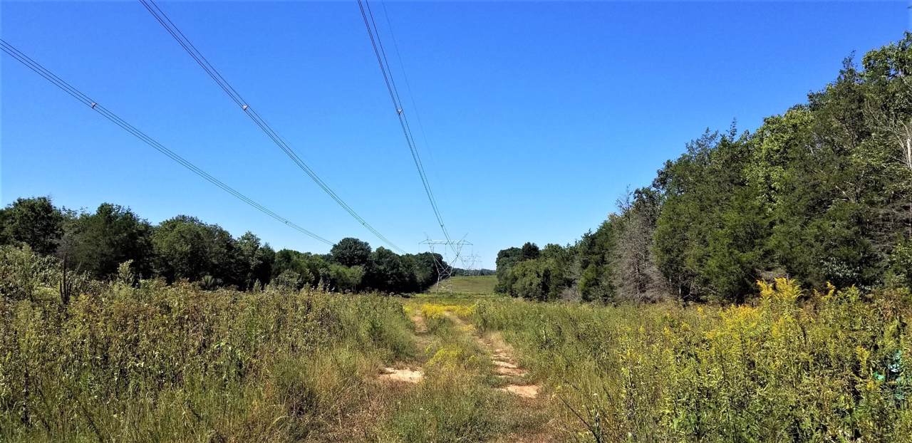 0 Bear Creek Pike 42 A +/- - Photo 1