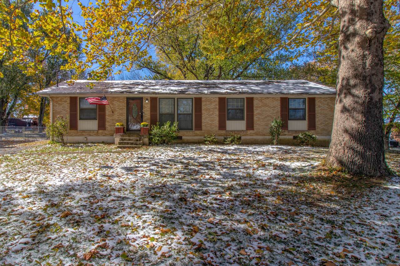 4703 Lori Dr - Photo 1