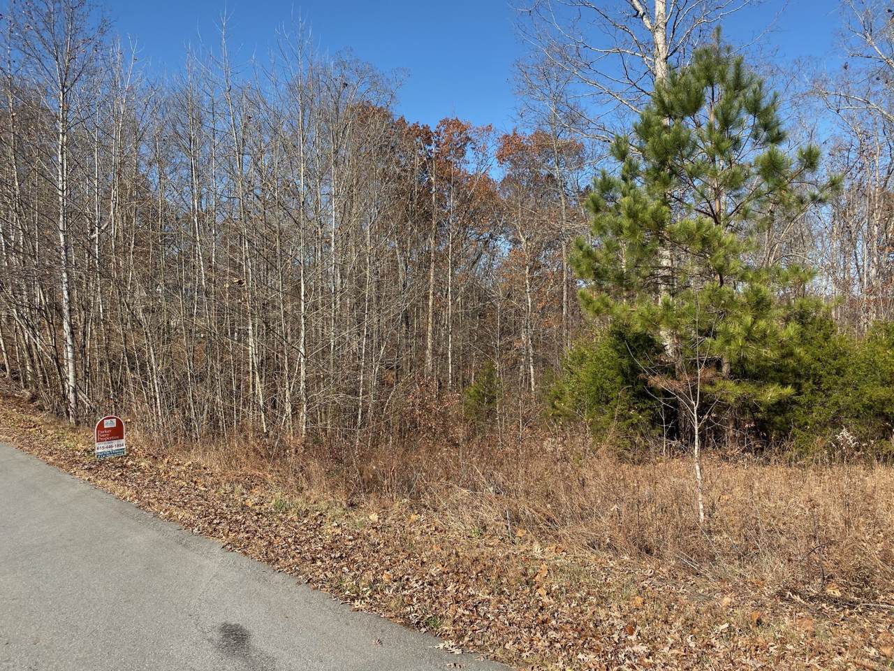 0 Laurel Hills Drive - Photo 1