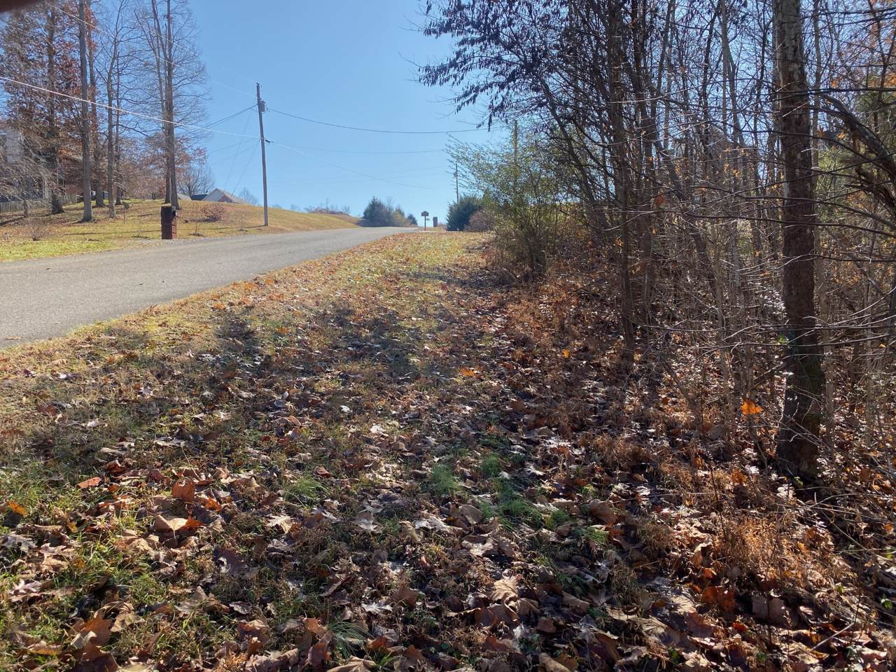 0 Laurel Hills Drive Lot 38 - Photo 1