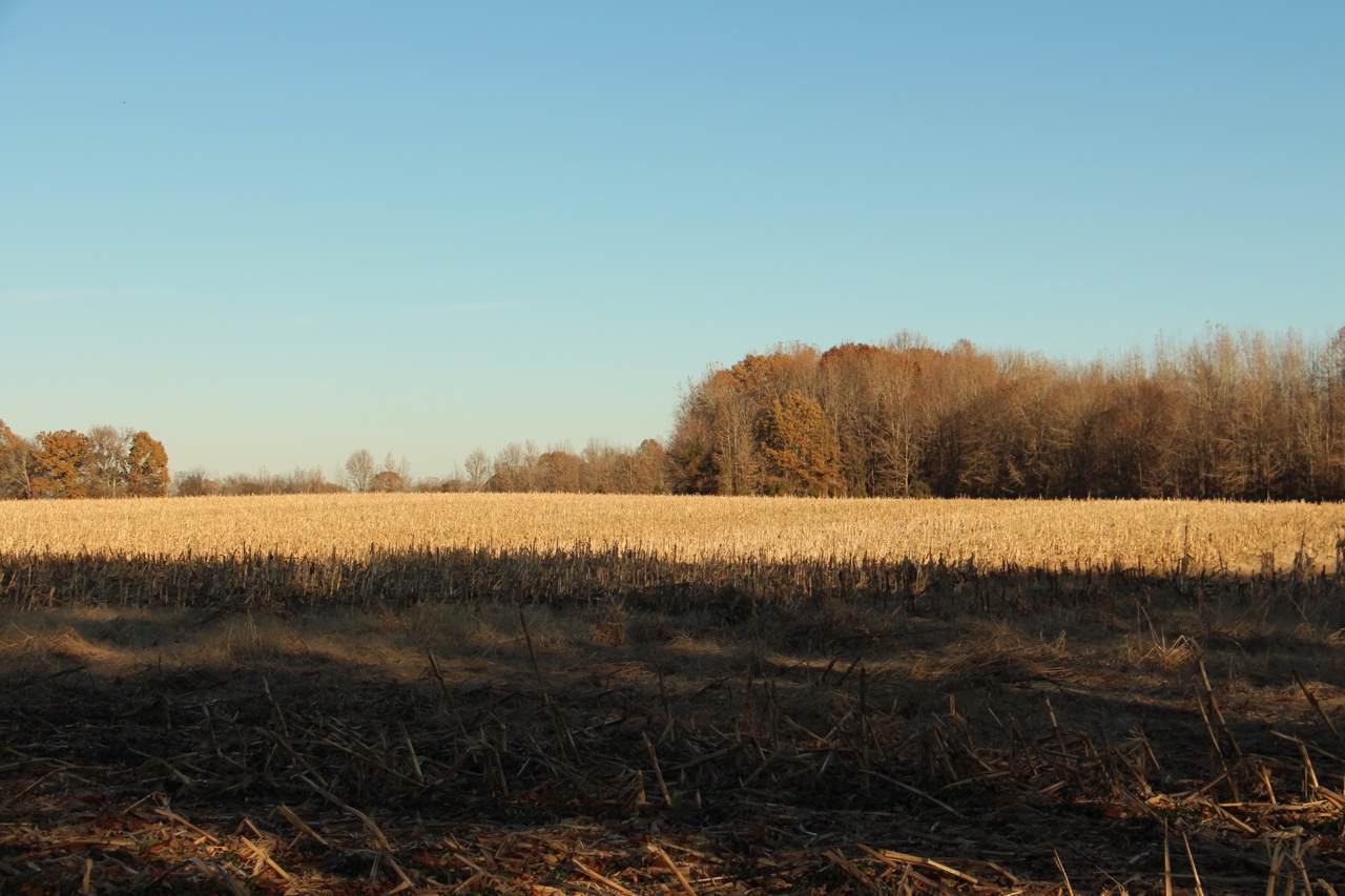 0 Hancock Rd - Photo 1