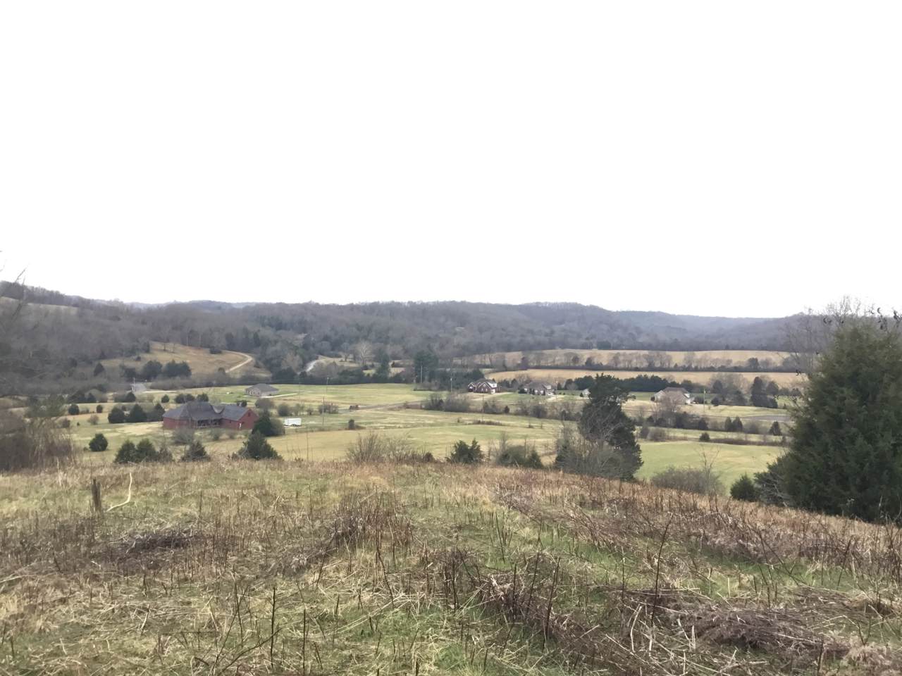 156 Dickson Marks Rd - Photo 1