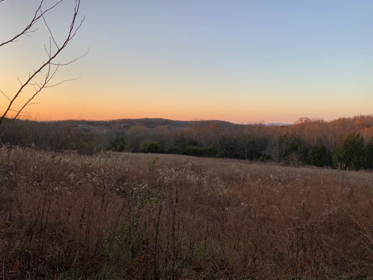 0 Halls Hill Pike - Photo 1