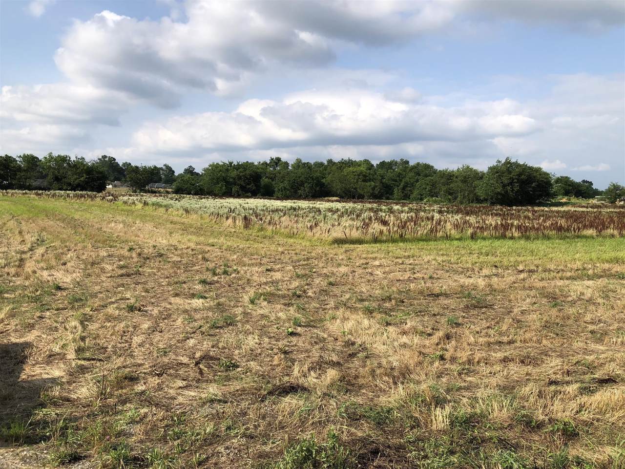0 Rock Springs Midland Rd - Photo 1